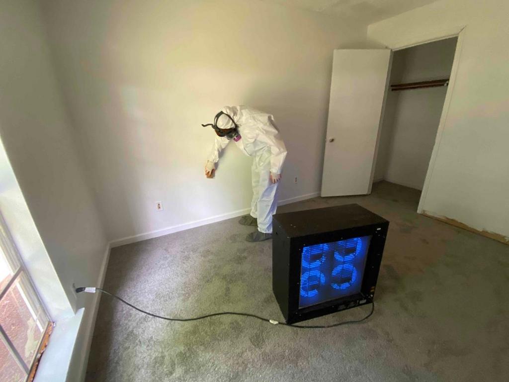 mold-cleaning-for-cars